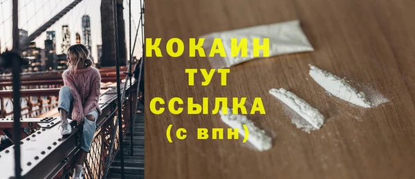 a pvp Бородино