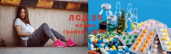 стаф Бугульма