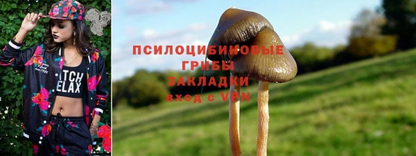 стаф Бугульма