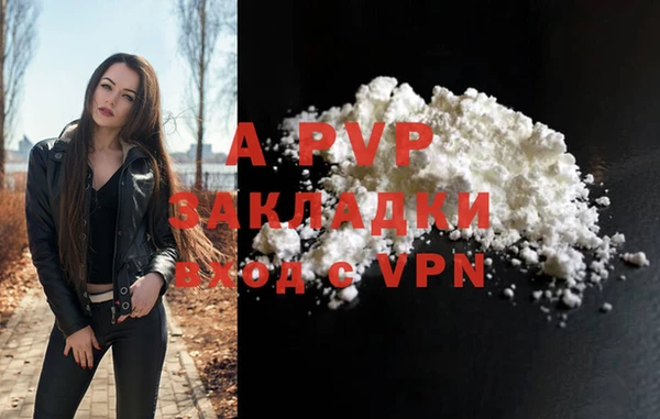 a pvp Бородино