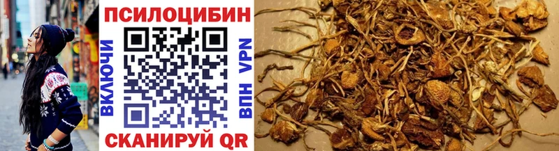 Галлюциногенные грибы Psilocybine cubensis  Назарово 